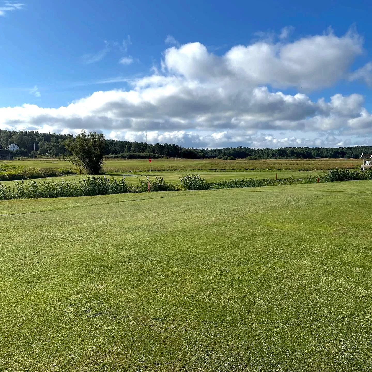 Allmag Golf & Country Club logotyp