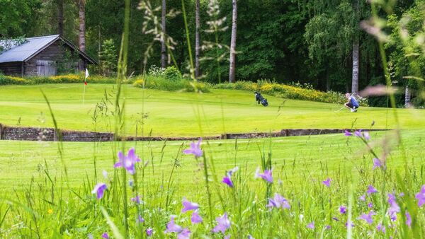 Dalsjö Golfklubb logotyp