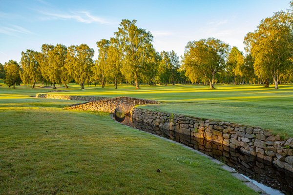 Falkenbergs Golfklubb logotyp