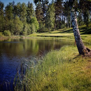 Flens Golfklubb logotyp