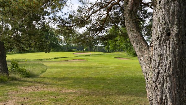 Motala Golfklubb logotyp