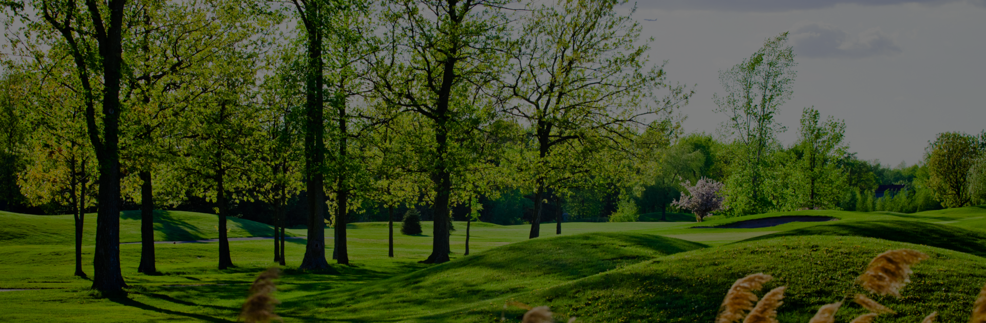 Nicklastorp Golfklubb logotyp