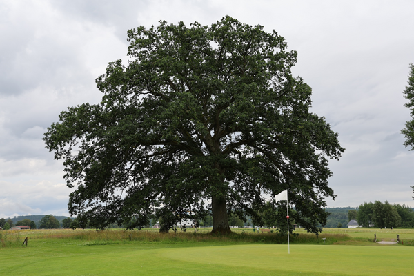 Ramkvilla Golfklubb logotyp
