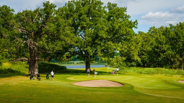 Sigtuna Golfklubb logotyp