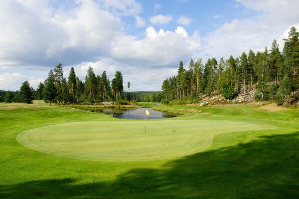 Skellefteå Golfklubb logotyp
