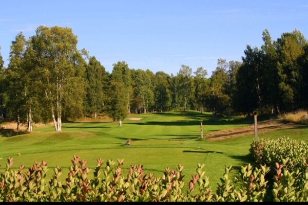 Söderhamns Golfklubb logotyp