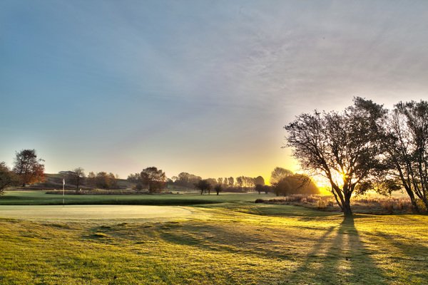 Tomelilla Golfklubb logotyp