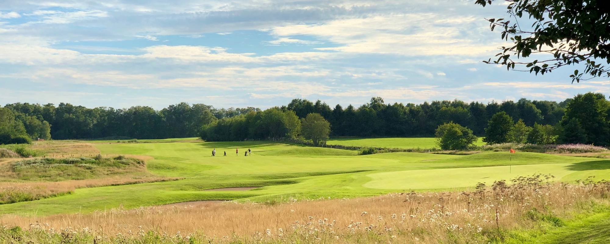 Varbergs Golfklubb logotyp
